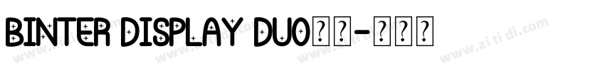 binter display duo字体字体转换